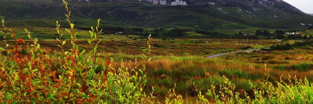 Errigal Mountain, County Donegal