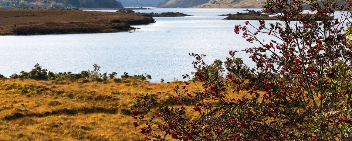 Glenveagh National Park