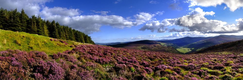 The Wicklow Mountains in East Ireland