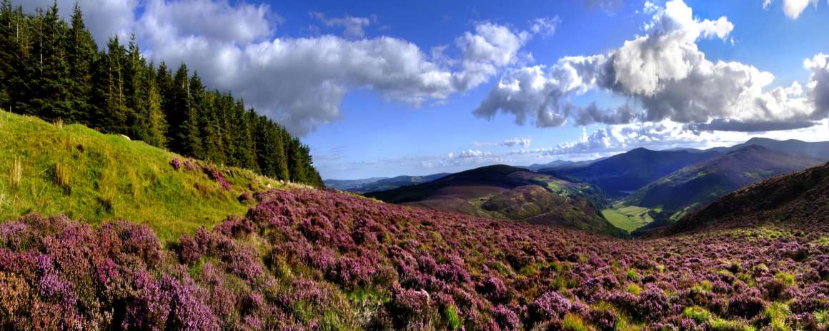 The Wicklow Mountains