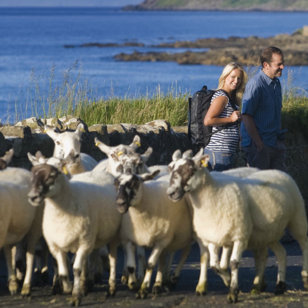 Knockatee Loop on the Beara Peninsula in South West Ireland