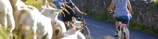 South West Ireland Cycling