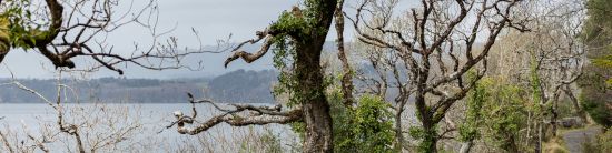 South East Ireland Ireland Hiking