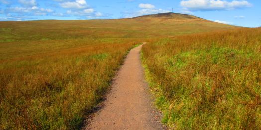 Divis and the Black Mountain
