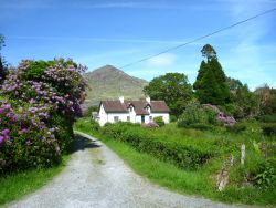 Cottage on Knockatee Loop, Beara Peninsula