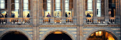 Natural History Museum in London City