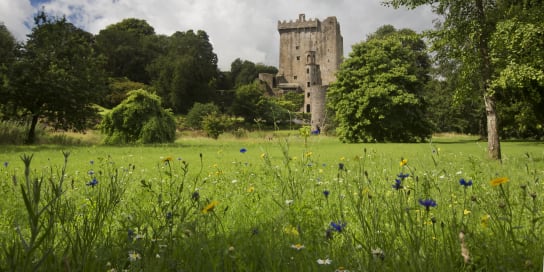 Blarney Castle, County Cork - as seen on our tours of Ireland