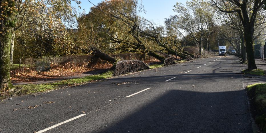 Fallen trees in Cork City during Storm Ophelia in 2017