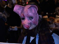 Dragon OF Shandon, Cork City, 2017