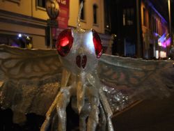 Dragon OF Shandon, Cork City, 2017