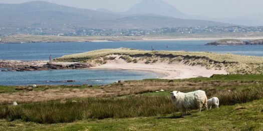 Gola Island, County Donegal
