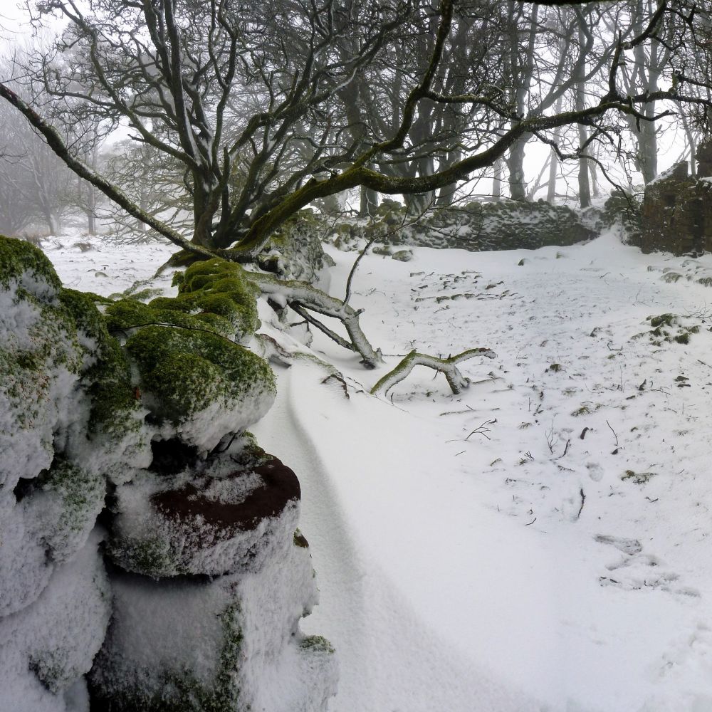 Snow in the Galtee Mountains
