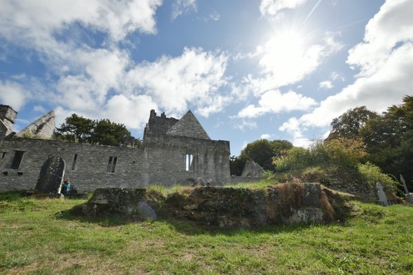 Muckross Abbey, Killarney National Park