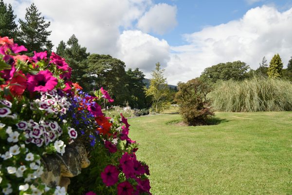The gardens at Muckross House