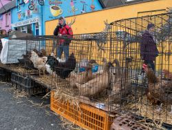 Saint Patrick's Day, Sneem, Co.Kerry