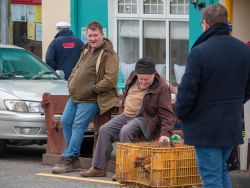 Saint Patrick's Day, Sneem, Co.Kerry
