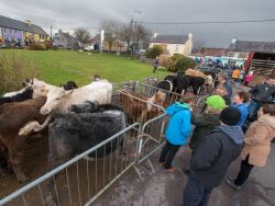 Saint Patrick's Day, Sneem, Co.Kerry