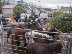Saint Patrick's Day, Sneem, Co.Kerry