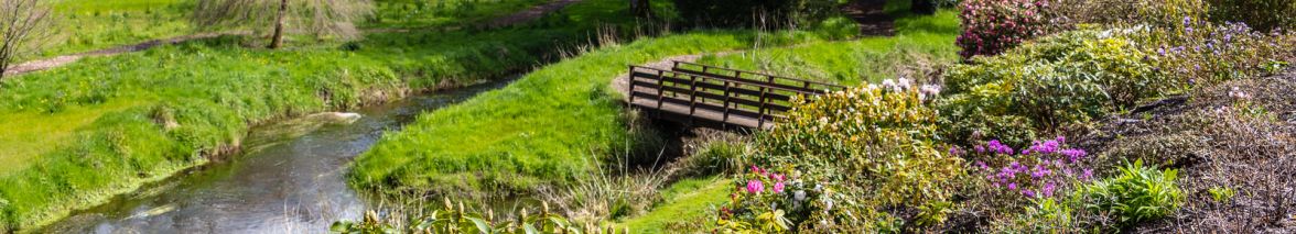 Irish National Stud, County Kildare