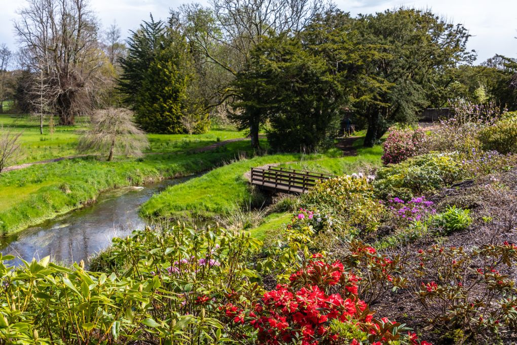 Irish National Stud and Gardens