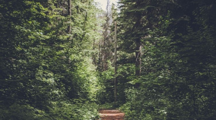 Claudy Country Park in County Derry