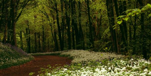 Ulster Canal Cycle Trail, County Monaghan