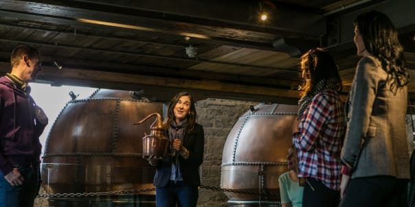 Tullamore D.E.W. Irish Whiskey Distillery Tour, County Offaly