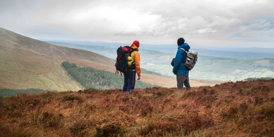 Knockmealdown Mountains