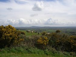 The Wexford Countryside