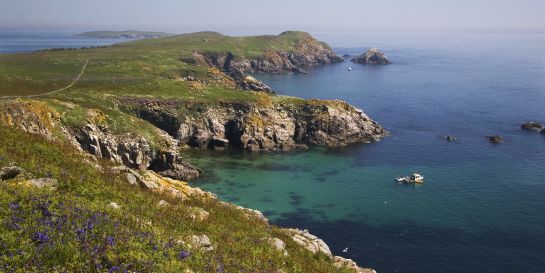 Saltee Islands, County Wexford