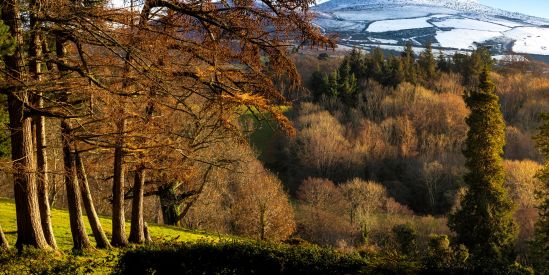 Sugar Loaf Mountain, Ireland