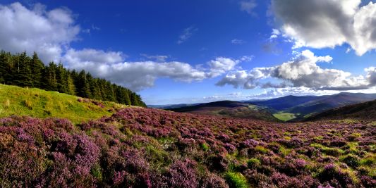 Sally's Gap, County Wicklow